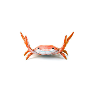 Haltérophilie Petit Crabe Porte Stylo et Lunettes