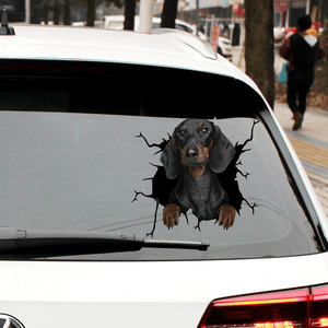 Autocollant chien créatif pour fenêtre de voiture