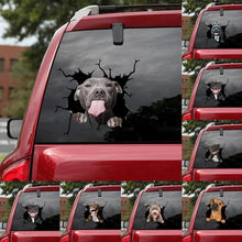 Charger l&#39;image dans la galerie, Autocollant chien créatif pour fenêtre de voiture