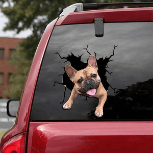 Autocollant chien créatif pour fenêtre de voiture