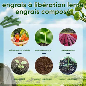 Bâtonnets Nutritionnels Organiques pour Plantes Universelles(18pcs)