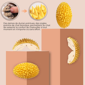Jouets multifonctionnels Durian